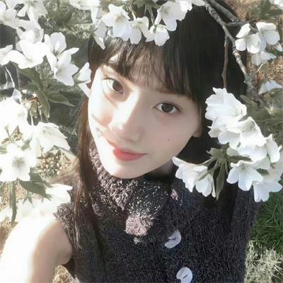 黄色之鸟